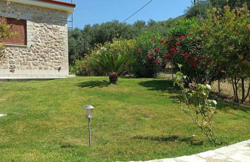 Petrino House - Foto 39