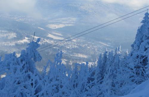 Ferienwohnung Treml - Foto 9