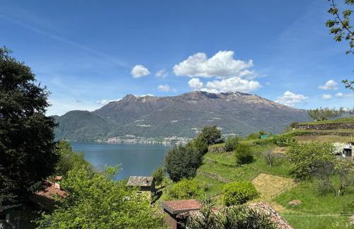 The House of Love - Foto 10