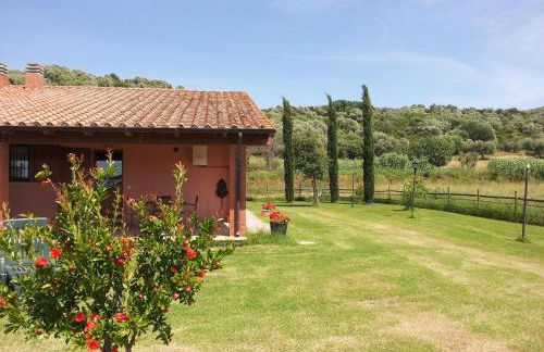 Bio Agriturismo Le Giunchiglie - Foto 16