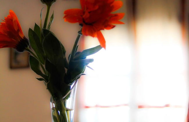 Casa Rural Catifalarga Capileira - Foto 56