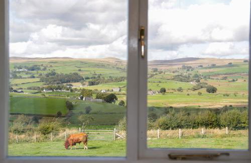 Bryn Dedwydd Cottage - Photo 12