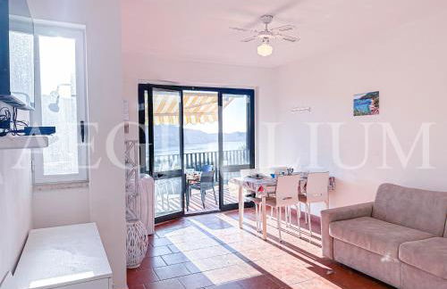 Giglio Blu 5 - Foto 5