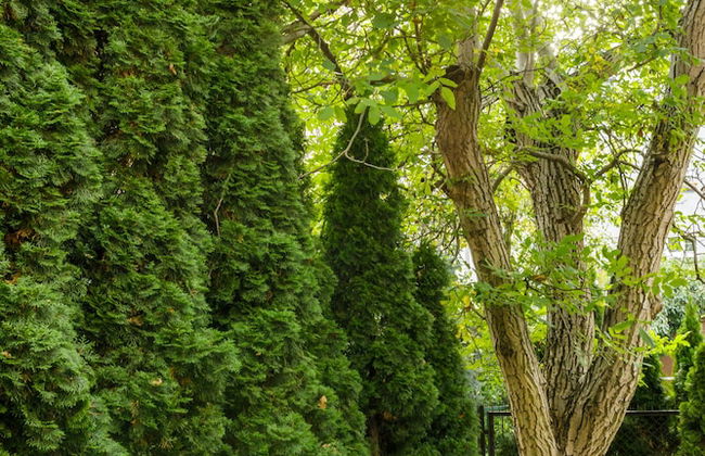 Apartamenty L11 - Foto 49