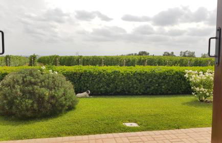 Il Casale degli Ulivi - Agriturismo - TENIMENTI LEONE - Foto 54