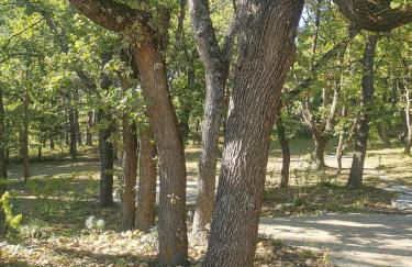 La Grangette - Foto 72