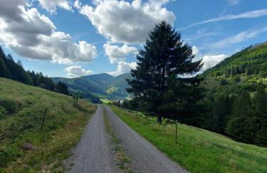 Haus Hees - Urlaub im Gletscherkessel Präg - Foto 33