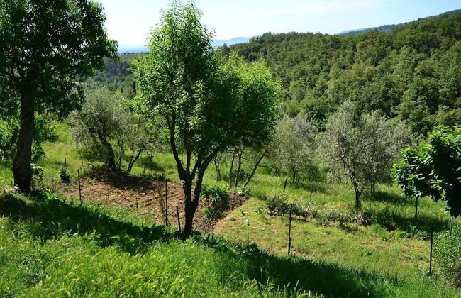 Rustic Getaway in Tuscan Hills - Foto 32