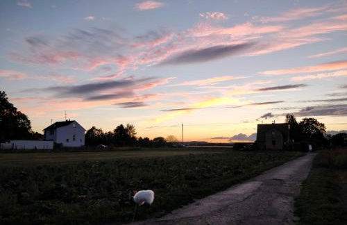 Haus im Grünen - Foto 41