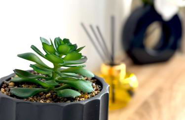 Résidence La Ruelle Secrete - 5 studios - - Foto 76