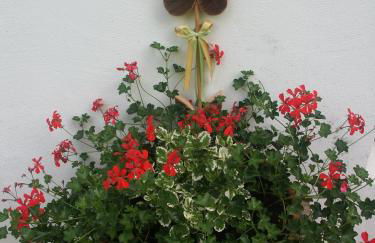 Aria D'Bosch - Foto 24