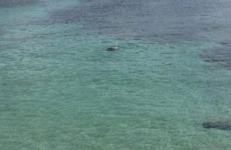 Villa Sabaudia - Foto 34