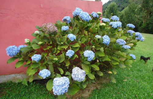 Sítio Recanto do Araçá - Foto 50