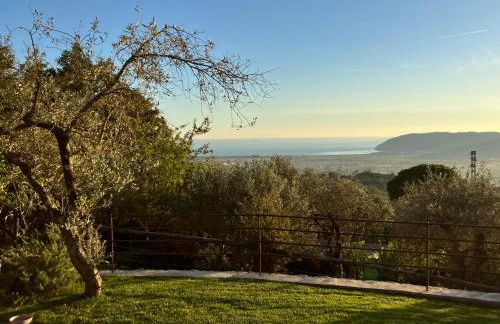 A CASA DI OLIVO - Foto 44