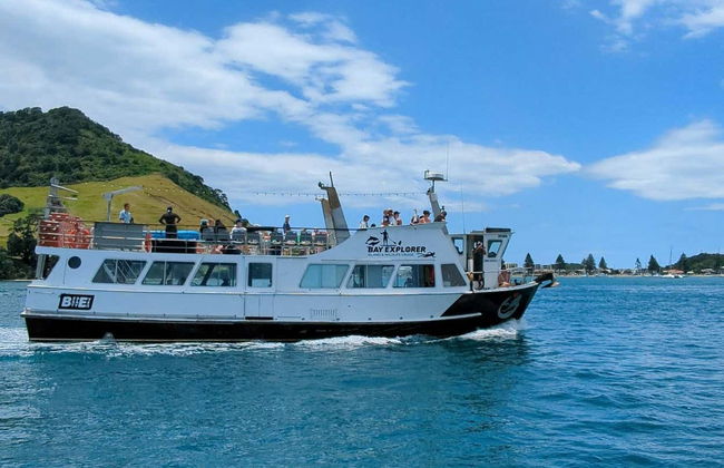 Observation de dauphins à Tauranga - Photo 5