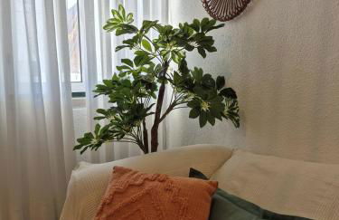 Luar de Prata - Foto 19