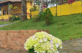 Pousada Chácara Pau - Brasil - Foto 2