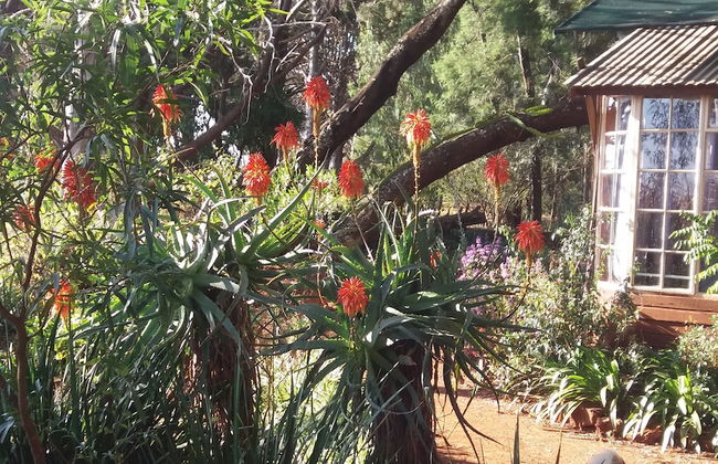 Woodland Gardens - Photo 4