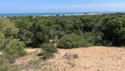 Modern Apartment Near Beach - Foto 2