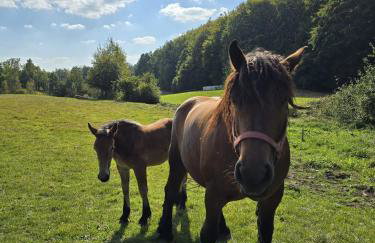 Kaszubska Kryjówka - Komfortowy 8 osobowy Domek w sercu Kaszub - Jacuzzi, Sauna, Rowerek Wodny, Jezioro, Las, Salon Gier! - Foto 15