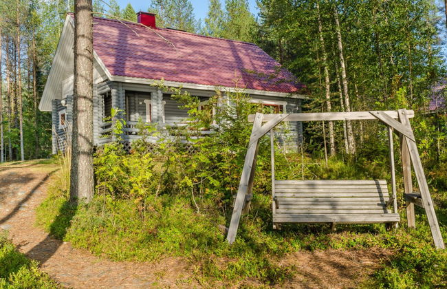 Kissankello - Foto 2