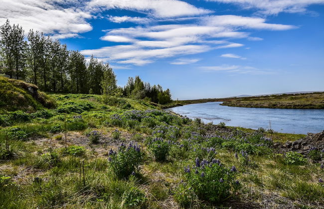 Brún cottage - Foto 19