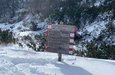 Cedä Meia - Foto 51