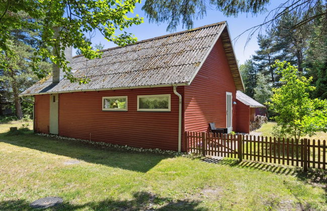 "Fernanda" - 1.3km from the sea - Photo 6