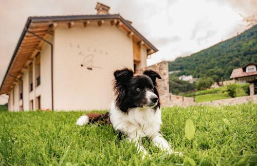 La casa di Maia - Alloggio Agrituristico - Foto 26