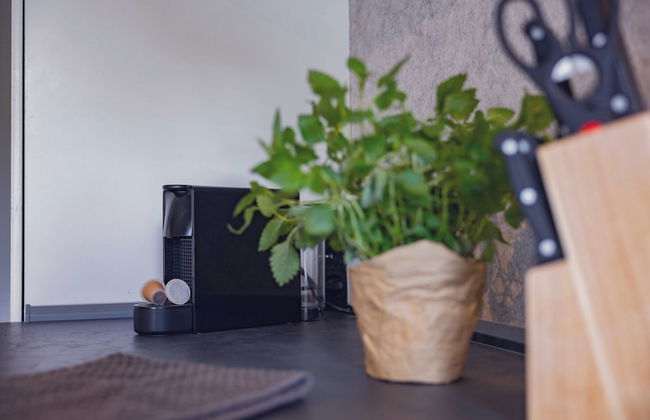 Titisee Haus an der Sonne by Kuckucksnester - Foto 54