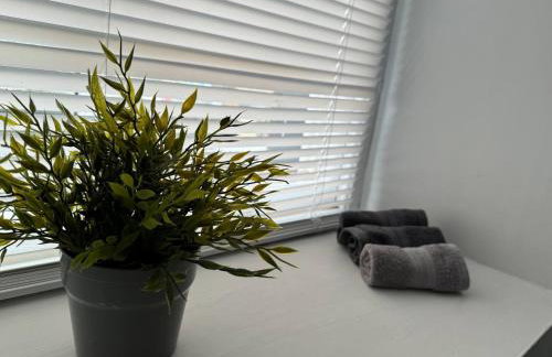 Lowther Apartment - 2 Bedrooms - Sleeps 4 - Photo 8