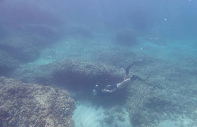 Snorkel en la Reserva Marina Cala Delta - Foto 6