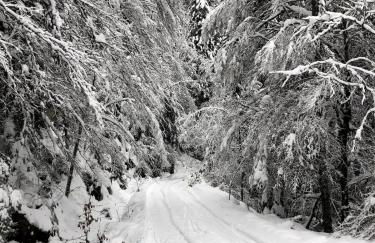 Le Giromagite au pied du Ballon d'Alsace - Foto 14