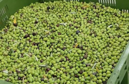 Uvatanta Cottage - Foto 13