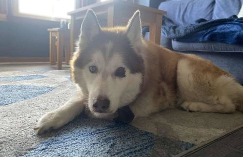 Room with a view - Foto 60