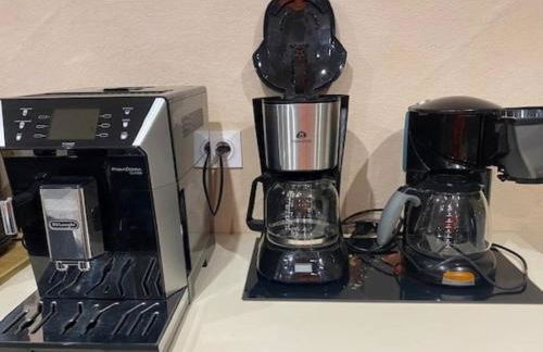 GITE DU BOIS DES HAUTS LES MILLE ETANGS - Foto 13