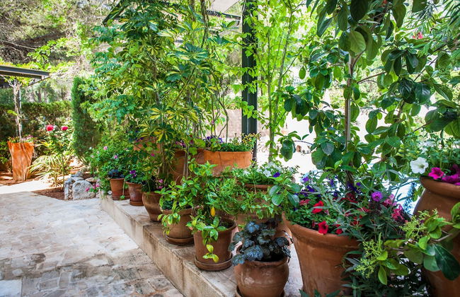 Apartamentos Cala Murada Minigolf - Foto 9