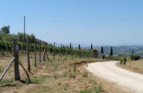 PODERE TORRICELLE 69B Pancole Gr, seaview infinity pool, jacuzzi, sauna, exclusive villa with 2 bedrooms for 4 - If you total 5 or 6 people there is an independent suite in main villa with private ensuite bathroom, kitchenette and garden dining area - Foto 59