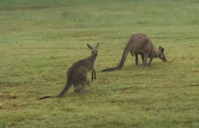 Glass On Glasshouse - Foto 28