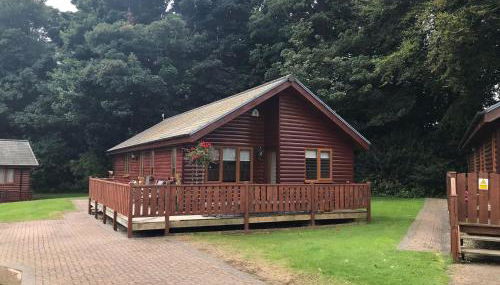 Stunning 2 Bedroom Pet Friendly Lodge - Foto 4, Garden