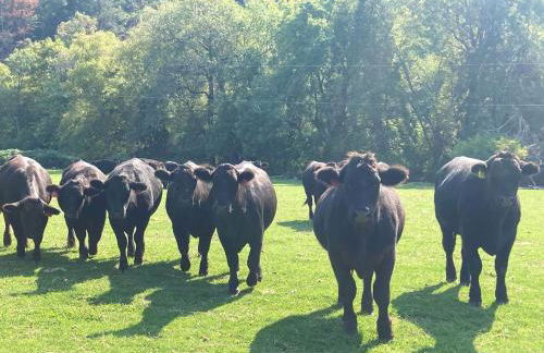 Secluded Farm Stay for a Perfect Oregon Glamping Experience - Foto 33