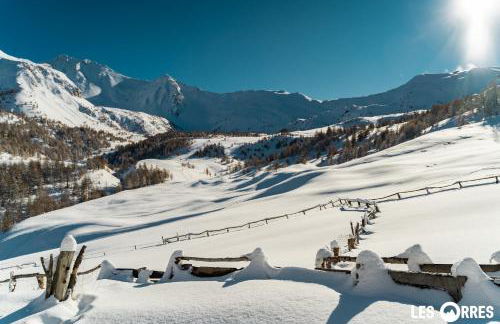 Le Petit Aupillon - L'Aupillon des Forêts - 2 studios cocooning aux Orres - Photo 47
