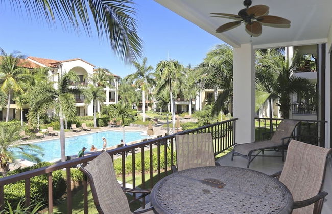 Pacifico L1207 Casa Tee - Foto 1