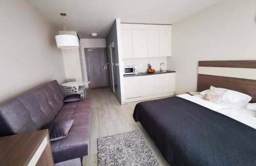 Apartament Czarna Góra TIGNES 4 Sienna - Foto 2