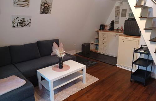 Ferienhaus ElbliebeHunde bis 25cm Höhe erlaubt! - Foto 19