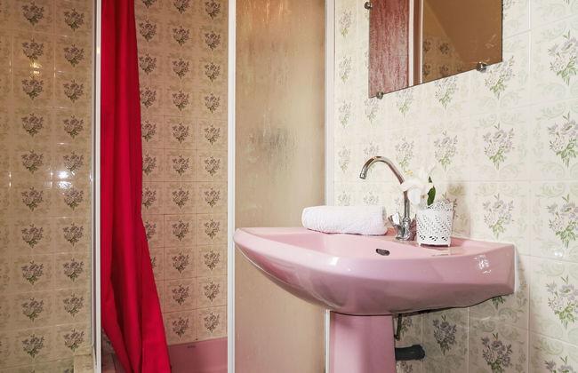 Les Hortensias - Foto 18