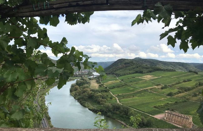 Cosy Apartment Near Center - Foto 21