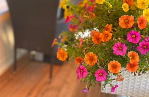 Apartment neu renoviert mit Sonnenbalkon und NETFLIX im Zentrum - Foto 32