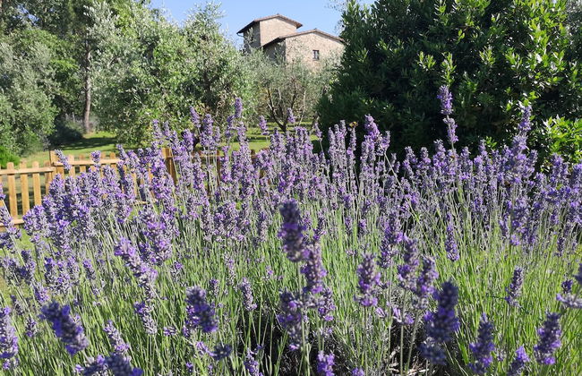 Frateria Di San Benedetto - Foto 54