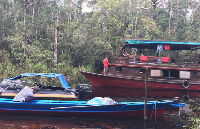 Houseboat Bee Kelotok - Foto 79